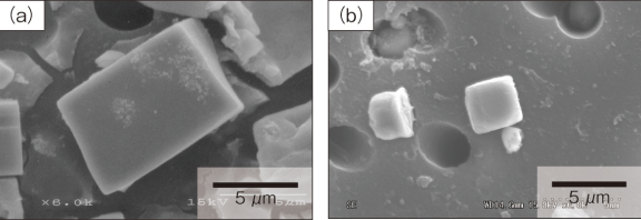 CVT belt material structure