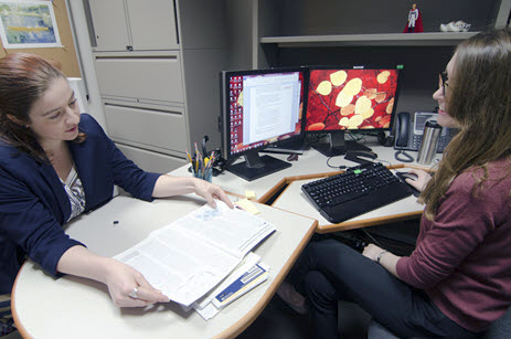ITSD Researchers